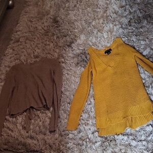 Ambiance Mustard and Brown V-Neck Sweater Duo